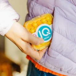 Smart Games IQ Mini -Spellen Verkoopwinkel iq mini 3