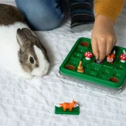 Smart Games Jump In' -Spellen Verkoopwinkel jump in 3