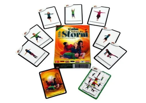 Robo Toys Kleine Stilte Voor De Storm -Spellen Verkoopwinkel kleine stilte voor de storm