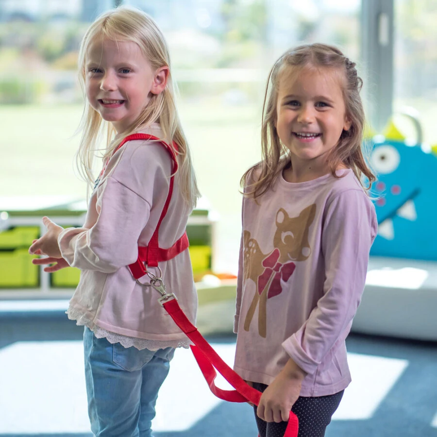 Betzold Paardentuigje - Rood 4 Betzold Paardentuigje - Rood - Afbeelding 2