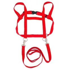 Betzold Paardentuigje - Rood