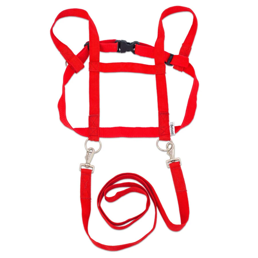 Betzold Paardentuigje - Rood 3 Betzold Paardentuigje - Rood